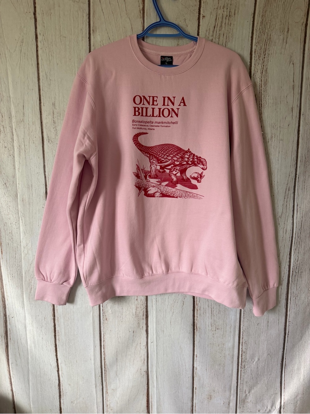 River Wear Pink One In A Billion Dinosaur Sweatshirt Size L Borealopelta Alberta